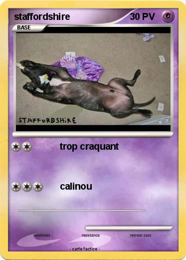 Pokemon staffordshire