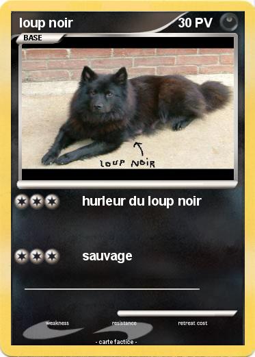 Pokemon loup noir