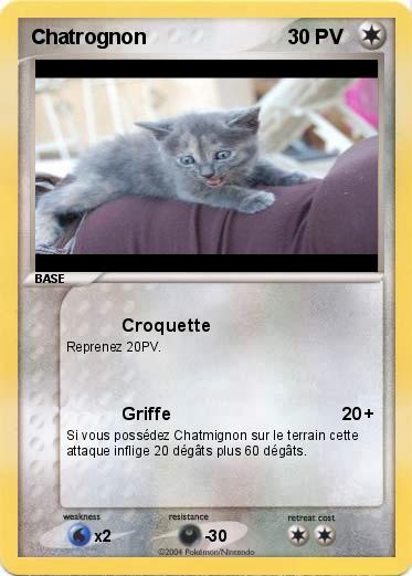 Pokemon Chatrognon