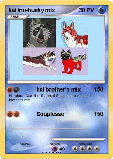 Pokemon kai inu-husky mix