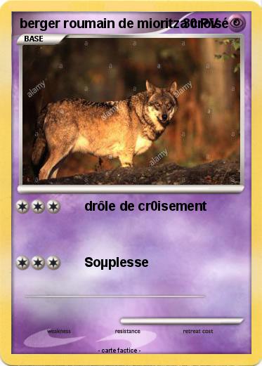 Pokemon berger roumain de mioritza croisé