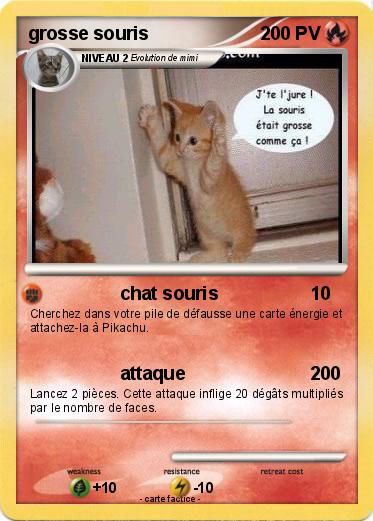 Pokemon grosse souris