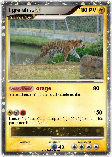 Pokemon tigre ali