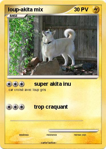 Pokemon loup-akita mix