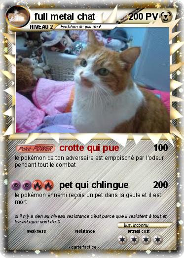 Pokemon full metal chat