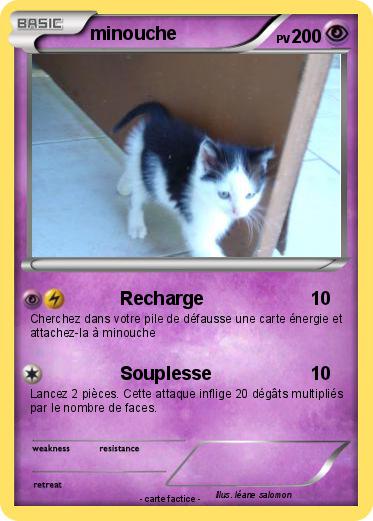 Pokemon minouche