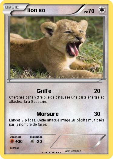 Pokemon lion so