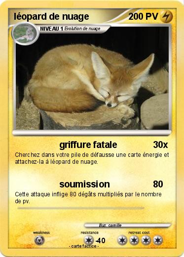 Pokemon léopard de nuage