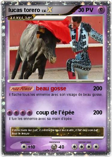 Pokemon lucas torero
