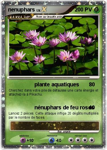 Pokemon nenuphars