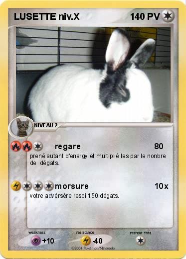 Pokemon LUSETTE niv.X