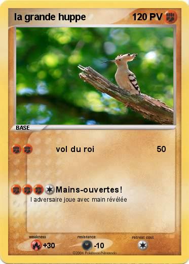 Pokemon la grande huppe