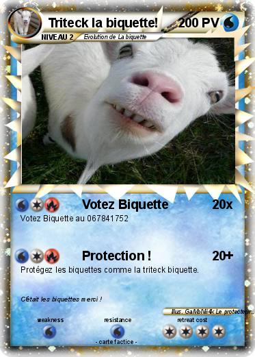 Pokemon Triteck la biquette!