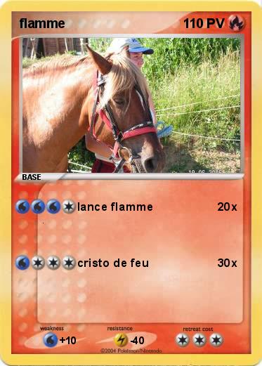 Pokemon flamme