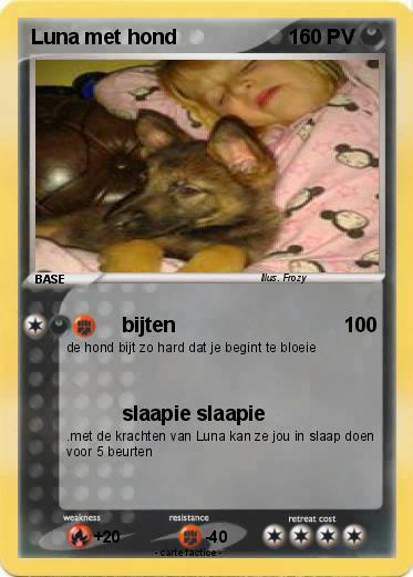 Pokemon Luna met hond