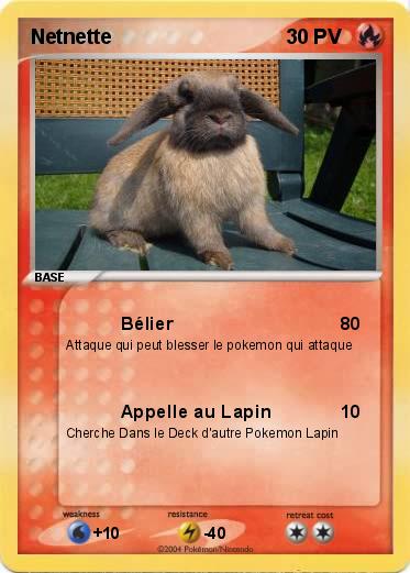 Pokemon Netnette