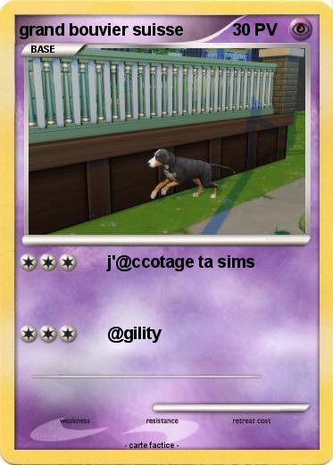 Pokemon grand bouvier suisse