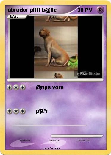 Pokemon labrador pffff b@lle