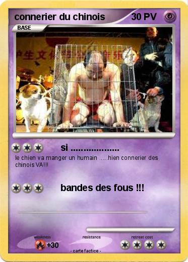Pokemon connerier du chinois