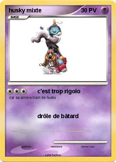 Pokemon husky mixte
