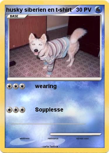 Pokemon husky siberien en t-shirt