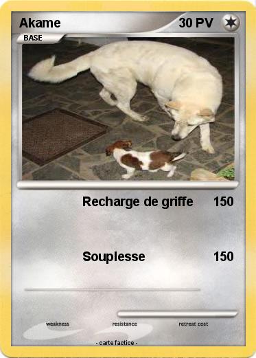 Pokemon Akame