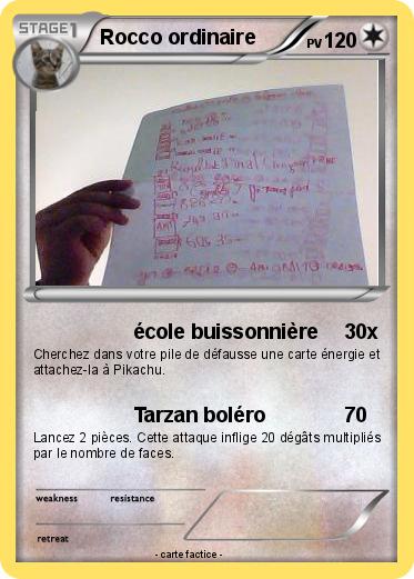 Pokemon Rocco ordinaire