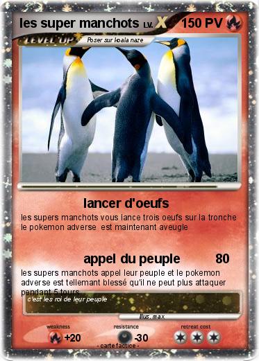 Pokemon les super manchots