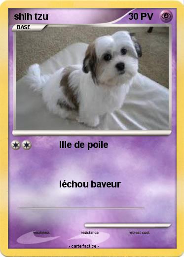 Pokemon shih tzu