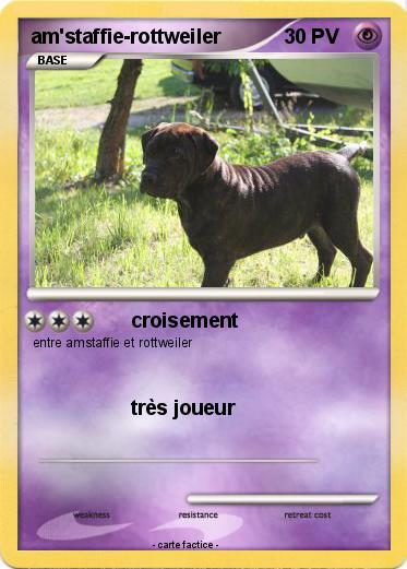 Pokemon am'staffie-rottweiler