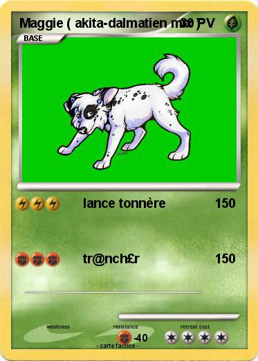 Pokemon Maggie ( akita-dalmatien mix )