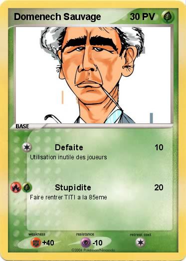 Pokemon Domenech Sauvage