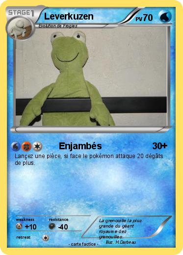 Pokemon Leverkuzen