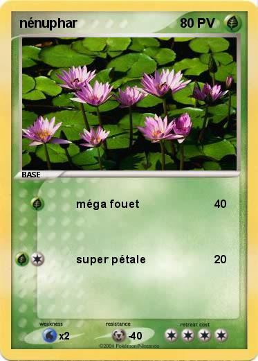 Pokemon nénuphar