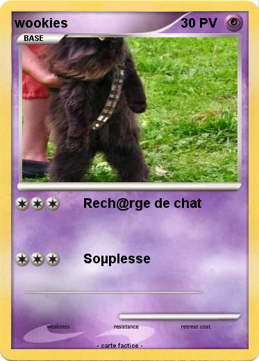 Pokemon wookies