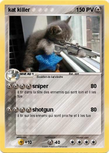 Pokemon kat killer