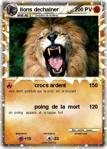 Pokemon lions dechainer