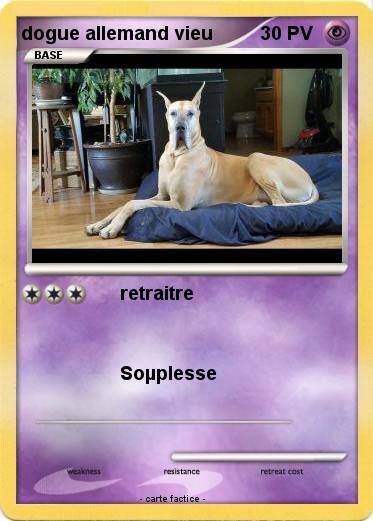 Pokemon dogue allemand vieu