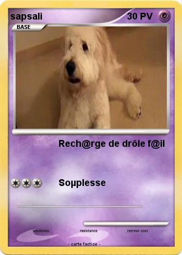Pokemon sapsali