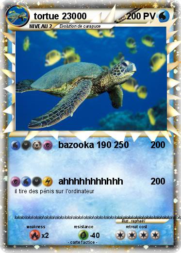 Pokemon tortue 23000
