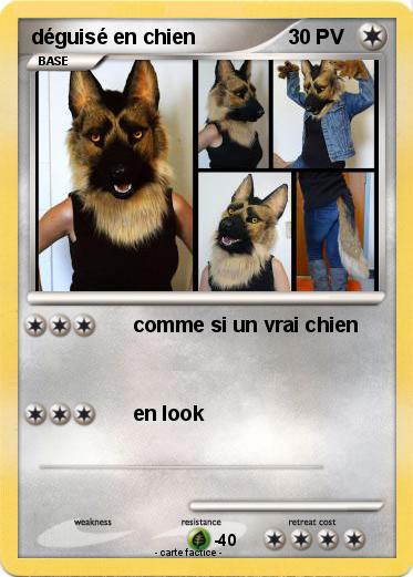 Pokemon déguisé en chien