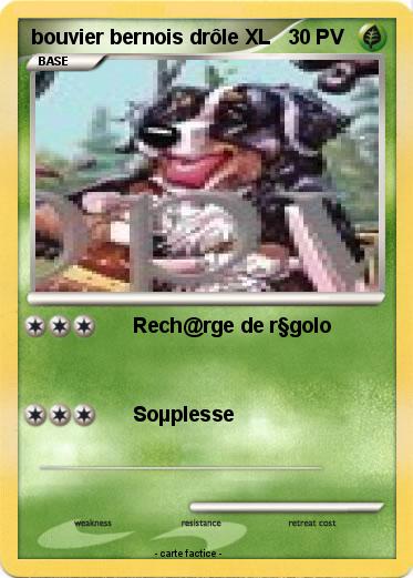 Pokemon bouvier bernois drôle XL