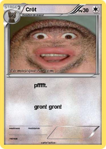 Pokemon Crôt
