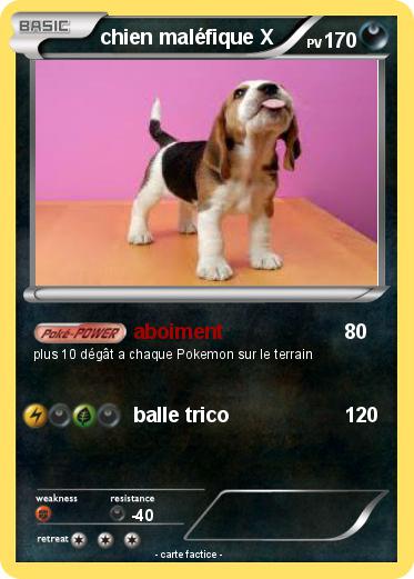 Pokemon chien maléfique X