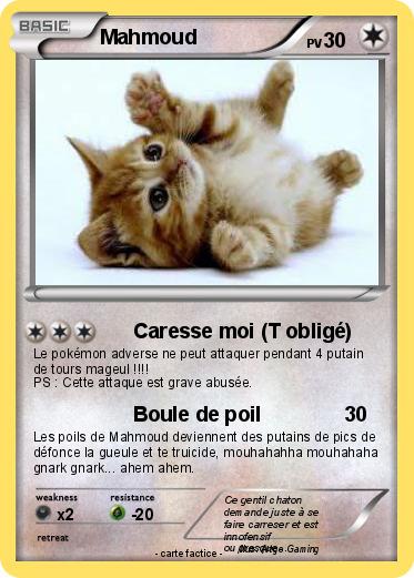 Pokemon Mahmoud