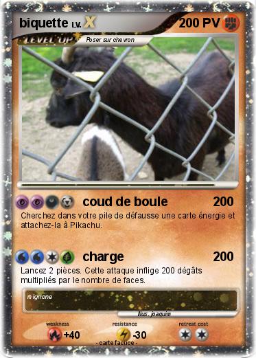 Pokemon biquette