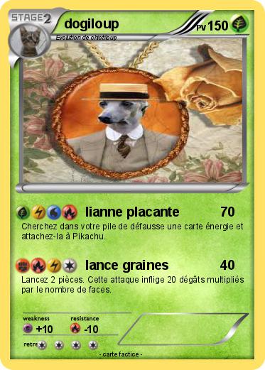 Pokemon dogiloup
