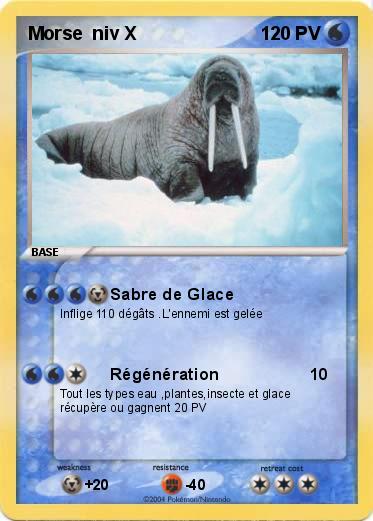 Pokemon Morse  niv X