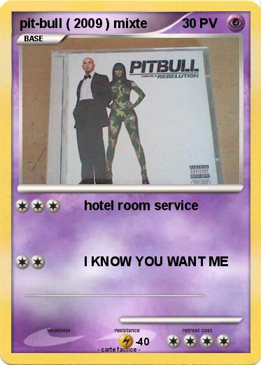 Pokemon pit-bull ( 2009 ) mixte