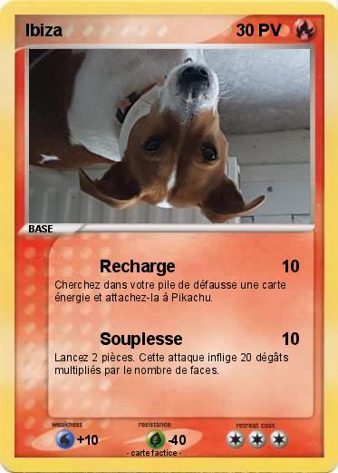 Pokemon Ibiza